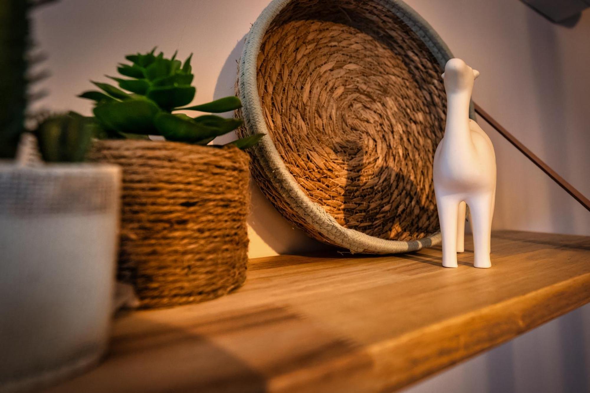 Magic Surf House Apartment Lacanau Ngoại thất bức ảnh